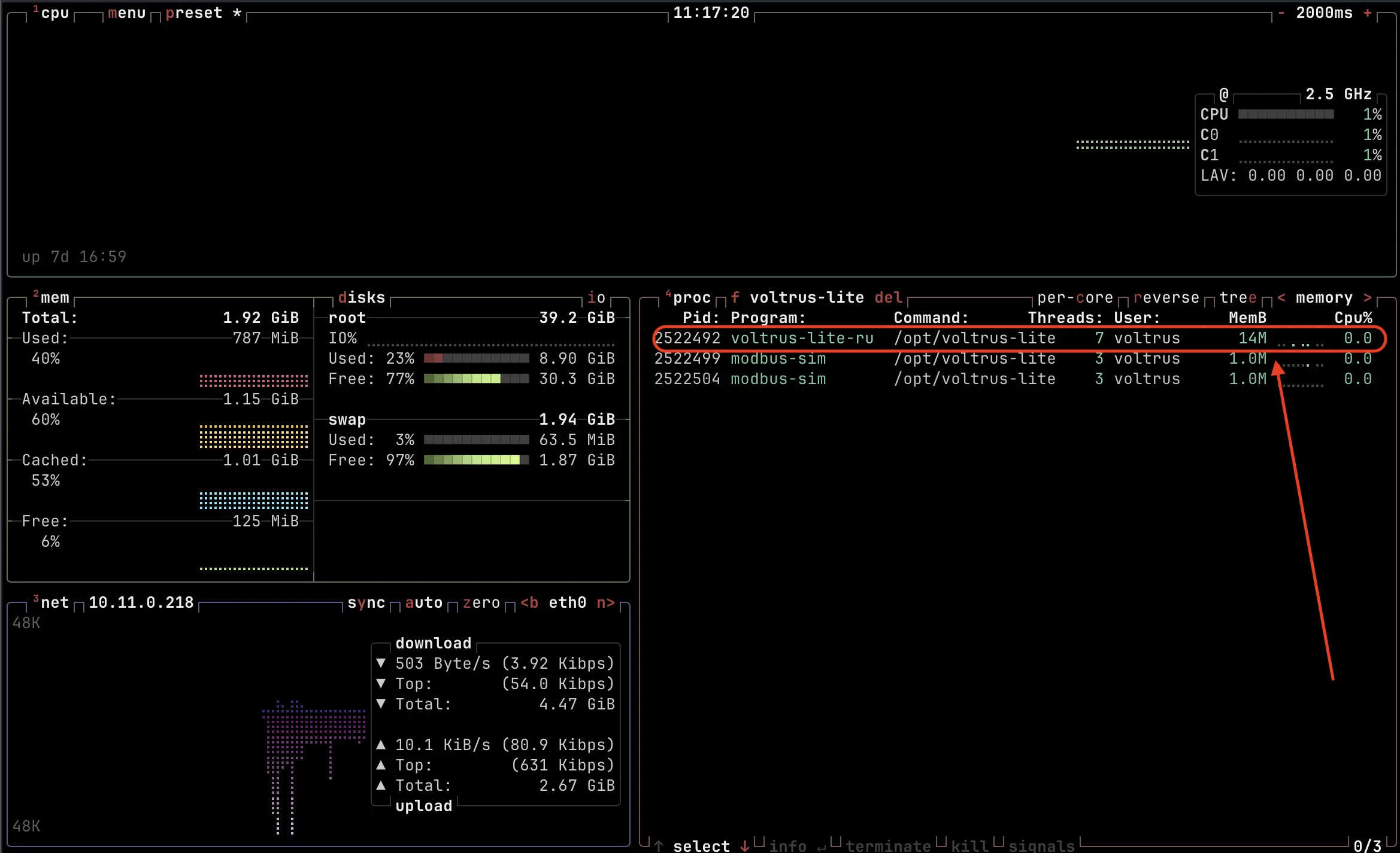 btop system monitor showing Voltrus process using only 14MB RAM alongside other system processes on a $4 VPS